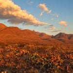 Panorama to illustrate dating in el paso